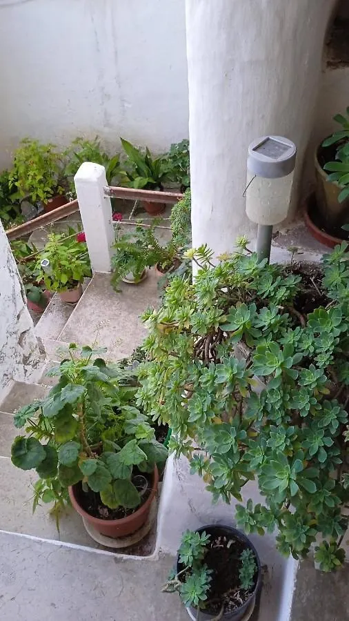 Maro'S Guesthouse Berat 0*,  Albanië